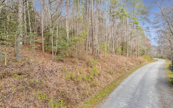 LT11 Possum Poke Road,  Ellijay,  GA 30536