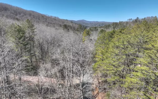 Blue Ridge, GA 30513,96 Acres Big Creek Road