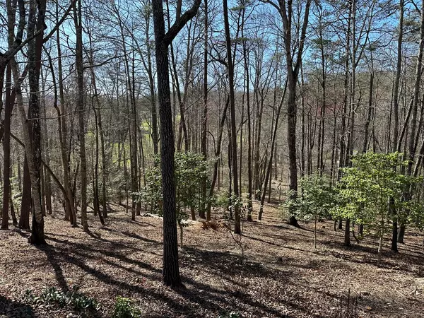 Young Harris, GA 30582,Lot 40 Asheland Cove Drive