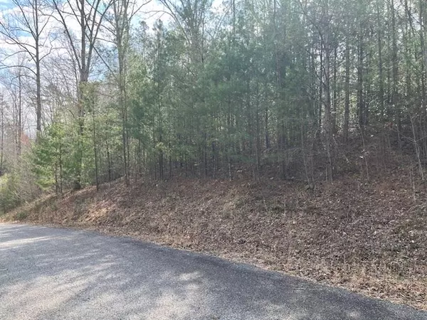 Blairsville, GA 30512,Lot 10 Lower Fox Trail Road