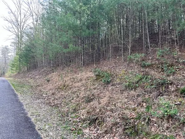 Blairsville, GA 30512,Lot 10 Lower Fox Trail Road