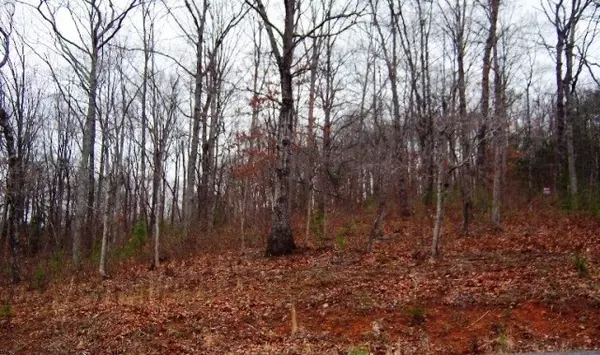 Young Harris, GA 30582,Lot 65 Timberline Acres