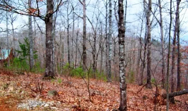 Young Harris, GA 30582,Lot 65 Timberline Acres