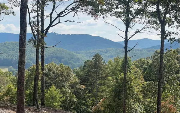 Morganton, GA 30560,163 Ridges Of Blue Ridge