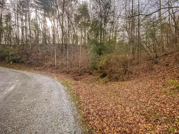 Lot 61 BMW Drive,  Ellijay,  GA 30540