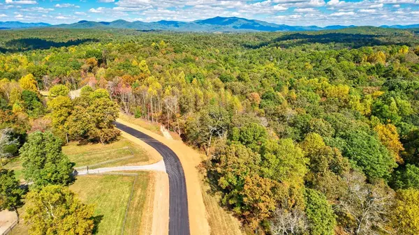 Ellijay, GA 30536,LOT 5 Clear Creek Preserve Way