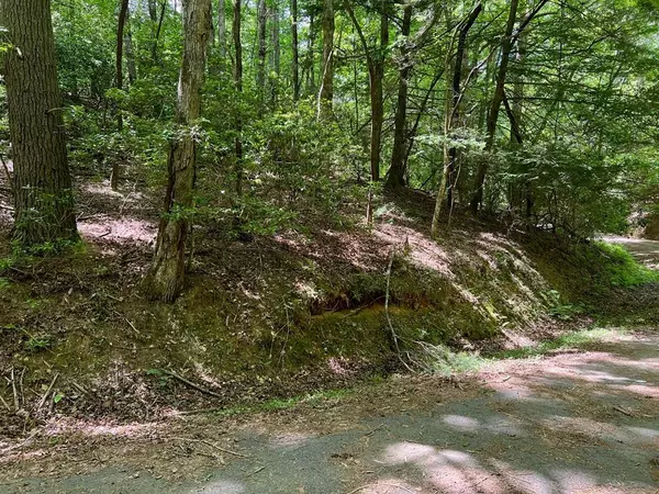 Ellijay, GA 30540,Lot 436 Okemah Court