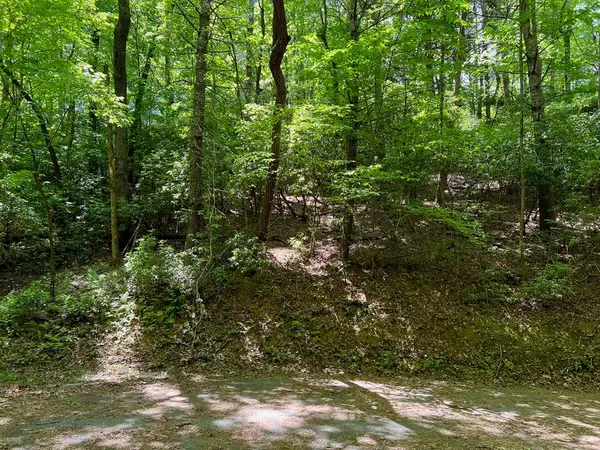 Ellijay, GA 30540,Lot 436 Okemah Court