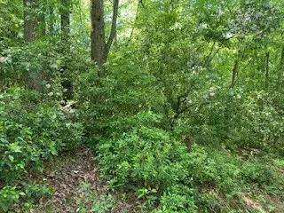 Ellijay, GA 30540,LOT 1667 Fugue Drive