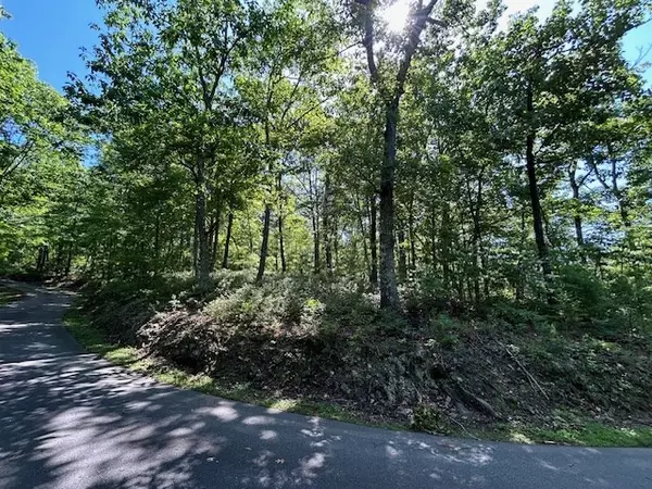 Hayesville, NC 28904,Lot 25 Mission Ridge Drive