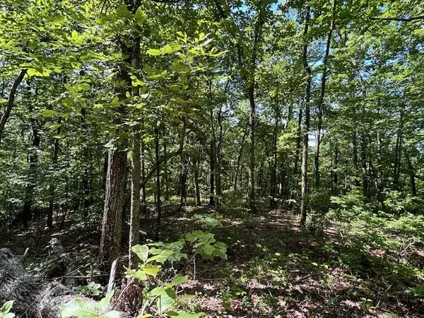 Hayesville, NC 28904,Lot 25 Mission Ridge Drive