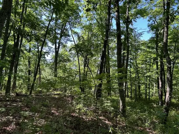 Hayesville, NC 28904,Lot 25 Mission Ridge Drive