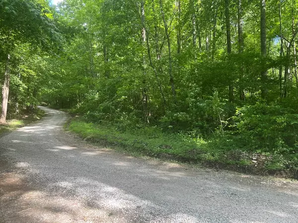 Andrews, NC 28901,Lot 8 Collett Creek Road