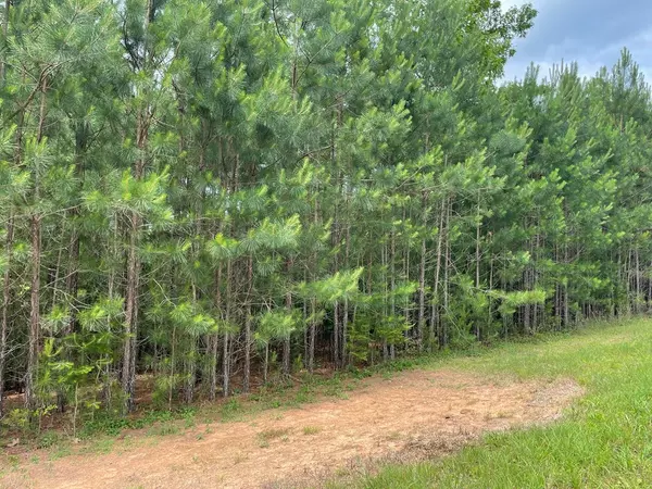 Blairsville, GA 30512,LOT 41 NORTHSHORE