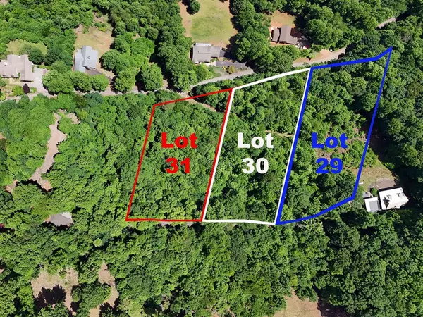 Hiawassee, GA 30548,Lot 30 Hidden Summit Road