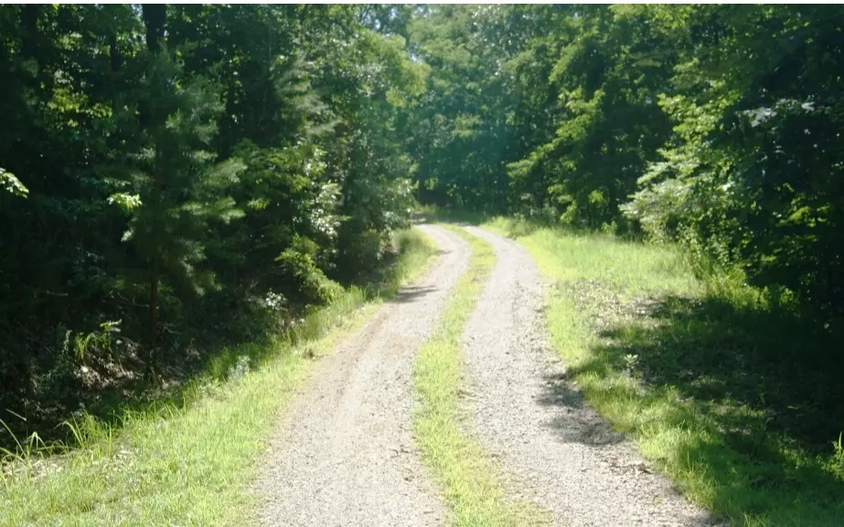 LOT10 Wunder Bear Ridge Road, Morganton, GA 30560