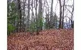 LOT 9 Parker Run Road, Ellijay, GA 30536