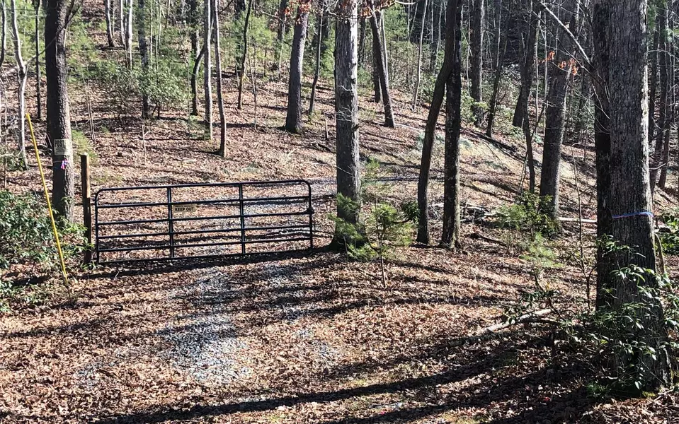 5.5AC Pig Trail, Cherry Log, GA 30522