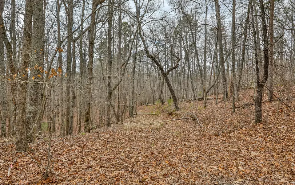 6 AC Carters Lake Overlook, Ellijay, GA 30540