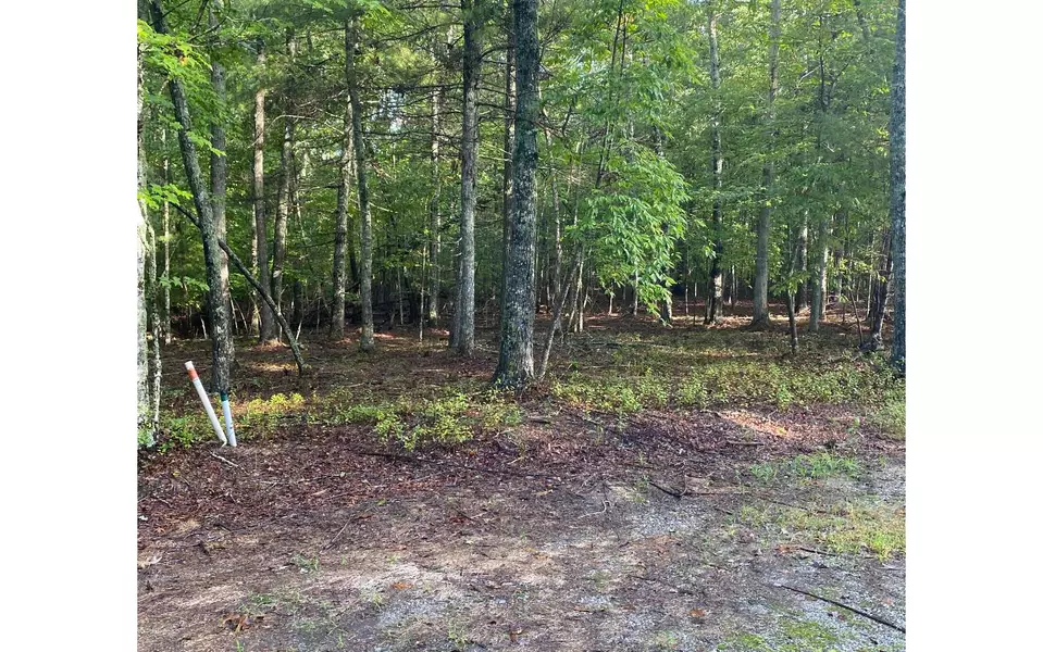 LOT 8 Renegade Ridge Road, Blairsville, GA 30512