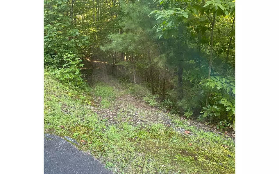 LOT25 Bryant Cove Road, Blairsville, GA 30512