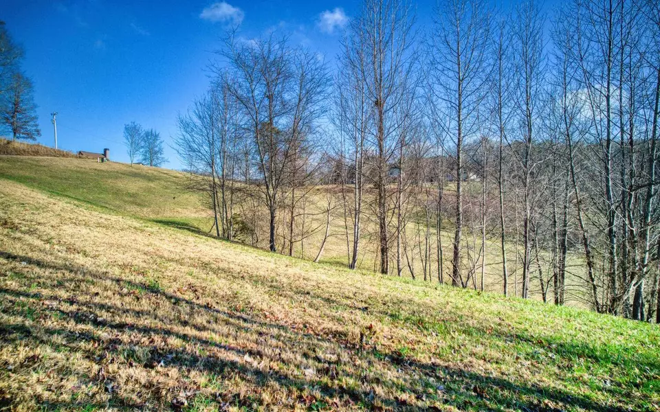 LOT 4 Big Sky Road, Blairsville, GA 30512