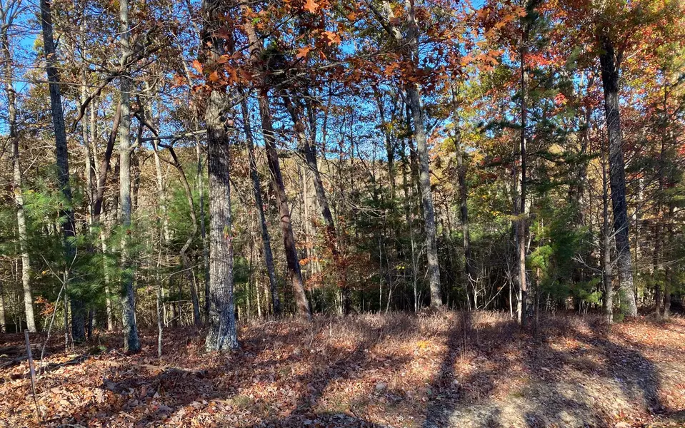 LOT22 Laurel Brooke, Blairsville, GA 30512