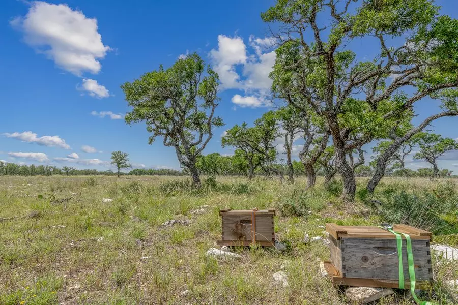 100 -- Spring XING, Junction, TX 76849