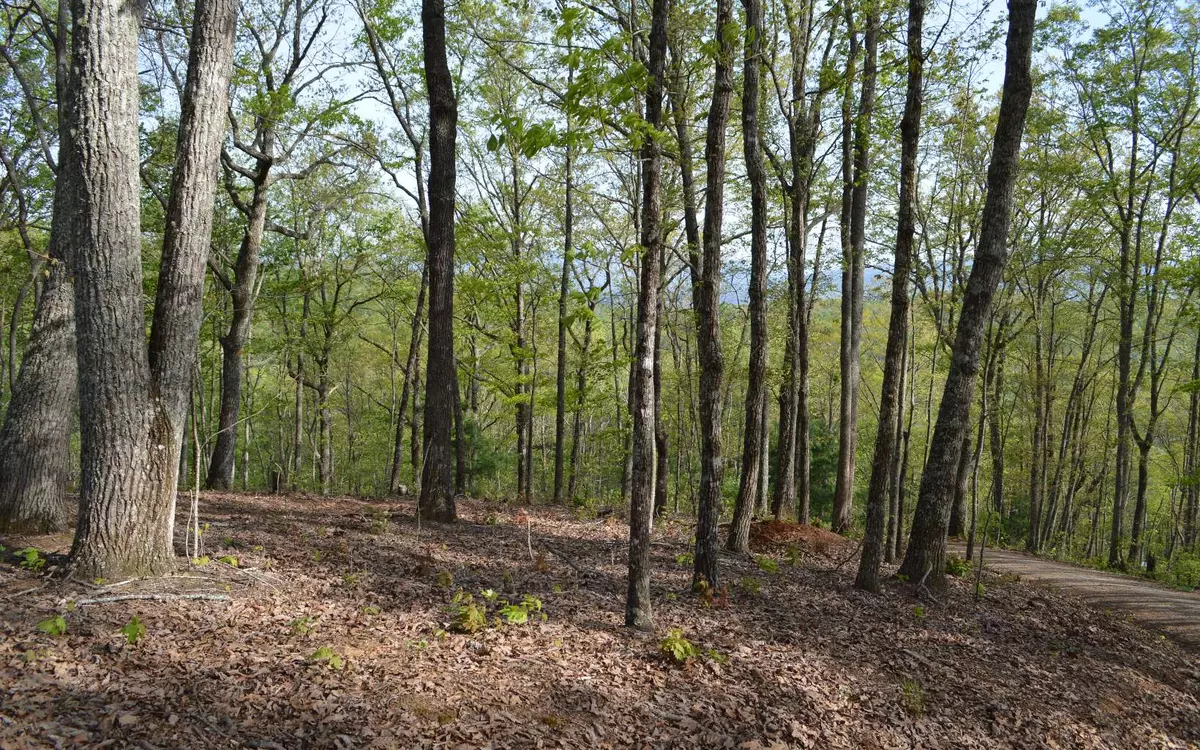 Brasstown, NC 28902,LOT 20 North Ridge Trail