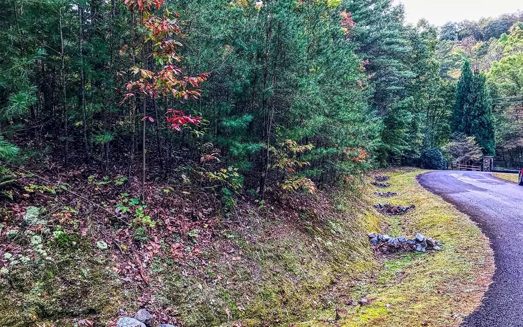 Cherry Log, GA 30522,Leatherwood Mountain Road