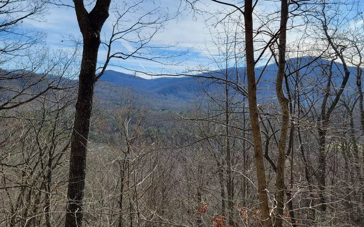 Murphy, NC 28906,LT 33 Chimney Top Trail