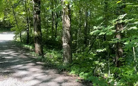 Hiawassee, GA 30546,36 Happy Hollow Road