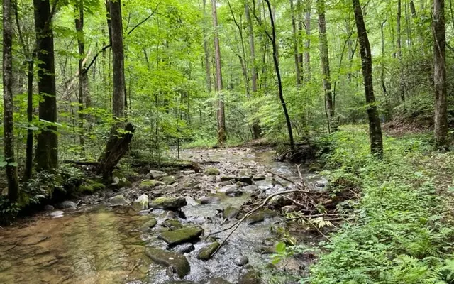 Cherry Log, GA 30522,Little Rock Creek Road