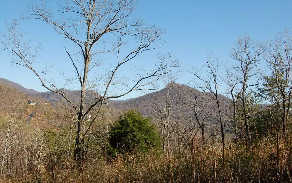 Hayesville, NC 28904,9 Lot 9 Dan Knob