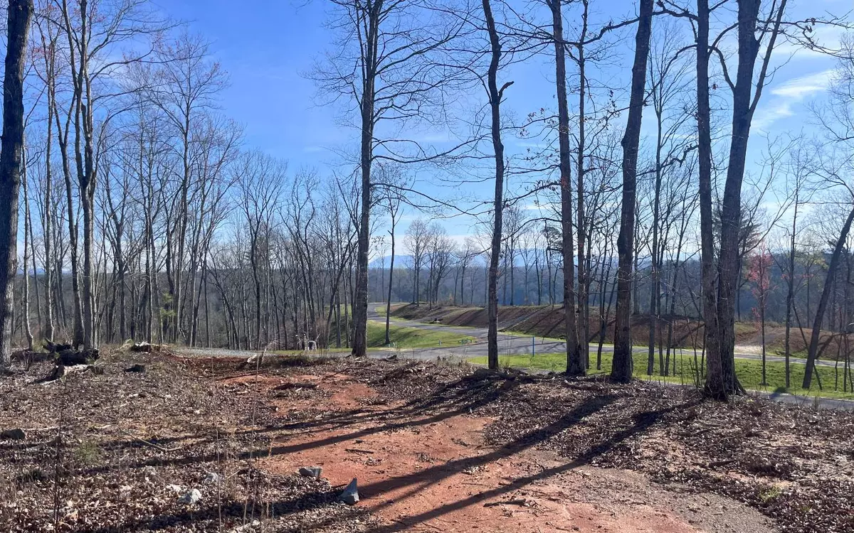 Ellijay, GA 30540,LT120 Jakes Landing Way