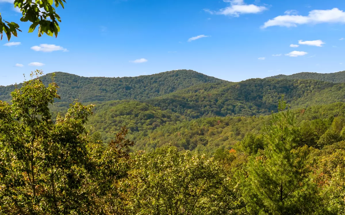 Cherry Log, GA 30522,Martin Crossing