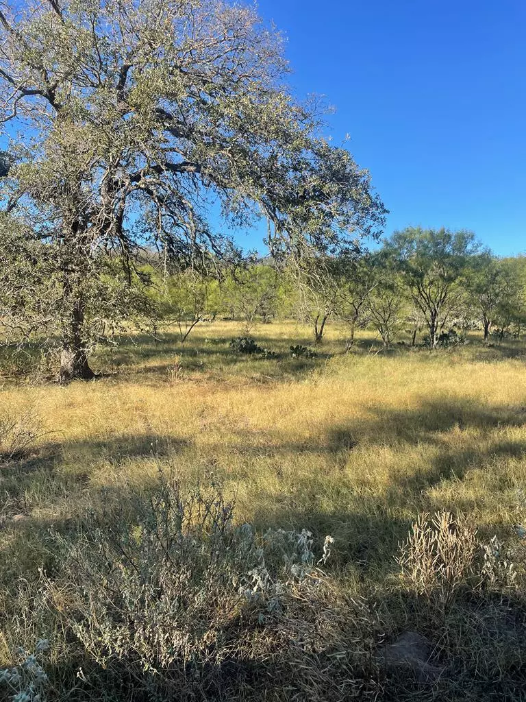 Mason, TX 76856,Lot 6 -- Little Willow Creek RD