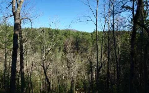 Murphy, NC 28906,LT 14 Vineyard Creek Way