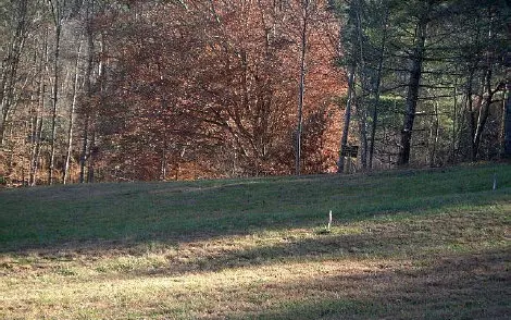 LT 1 Point Overlook Trail, Murphy, NC 28906