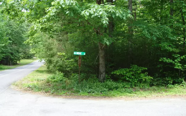 LOT41 Hi River Road, Hiawassee, GA 30546