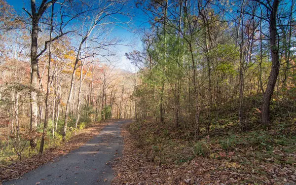 LT 5 White Oak Forest Road, Hiawassee, GA 30546