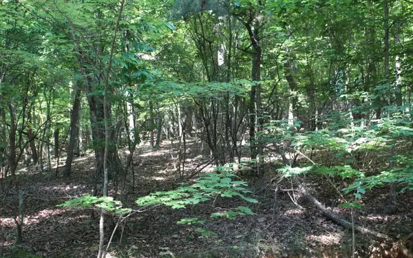 Ellijay, GA 30540,Bowline Dr - Lot 98