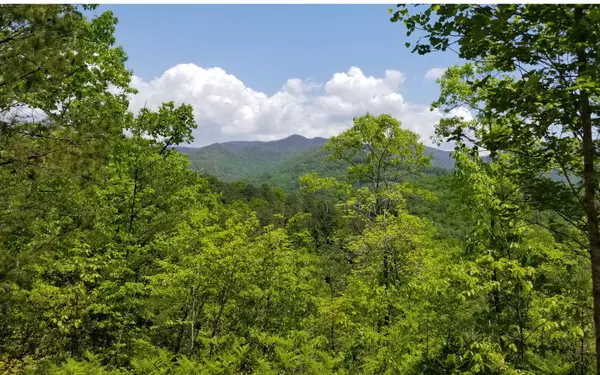 10 Eagle Fork Overlook, Hayesville, NC 28904