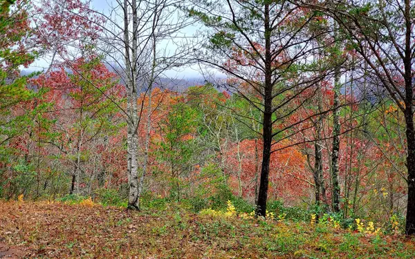 Hayesville, NC 28904,10 Eagle Fork Overlook