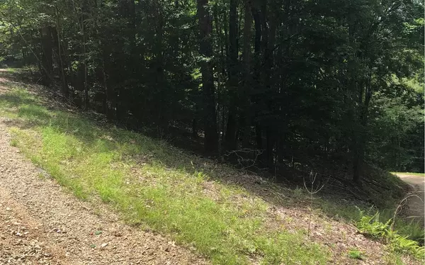 Morganton, GA 30560,LOT 3 Birchwood Trails