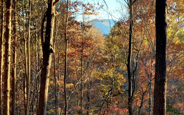 Brasstown, NC 28902,LOT G Staurolite Farms