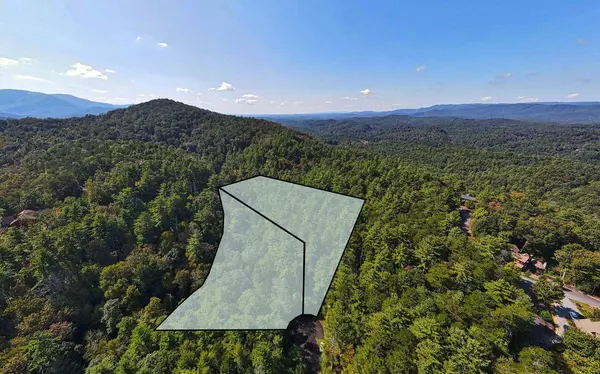 LOTS Crockett Mountain Lane,  Cherry Log,  GA 30522