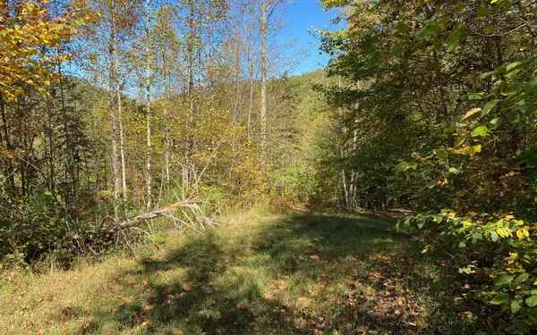 8 AC Cold Branch,  Hayesville,  NC 28904