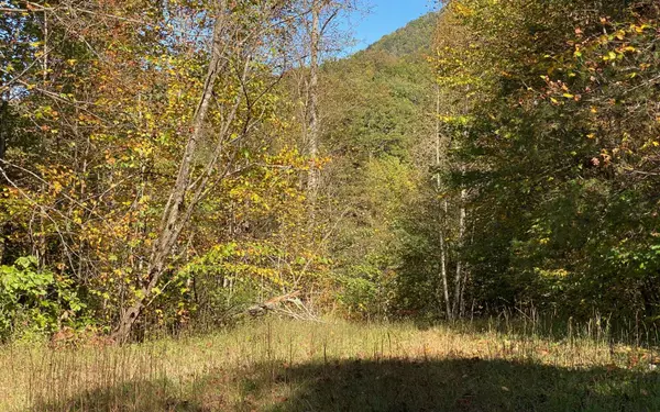 Hayesville, NC 28904,8 AC Cold Branch