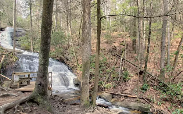 Cherry Log, GA 30520,25.51 Rock Creek Road